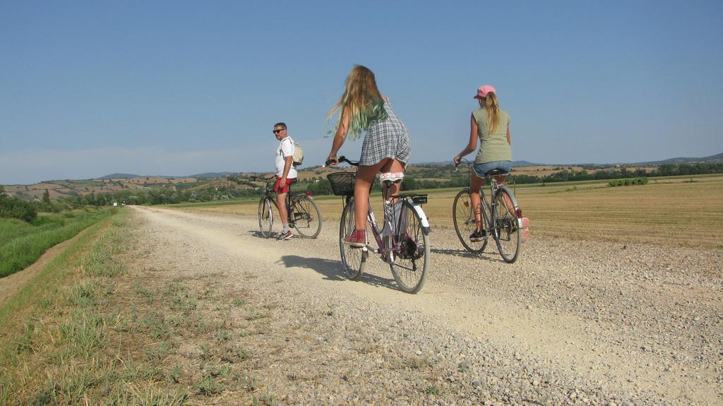 Appartamenti Il Granaio Marina di Grosseto Ngoại thất bức ảnh